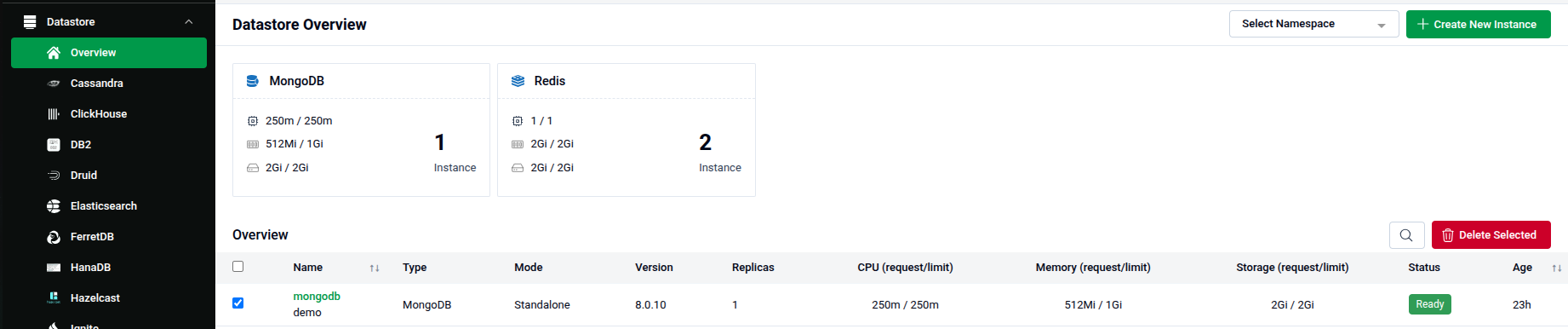 Datastore Overview page with a database instance selected and the Delete Selected button highlighted