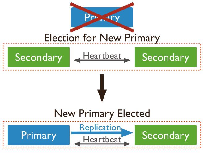 lifecycle