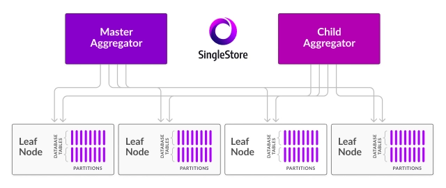 SingleStore Cluster