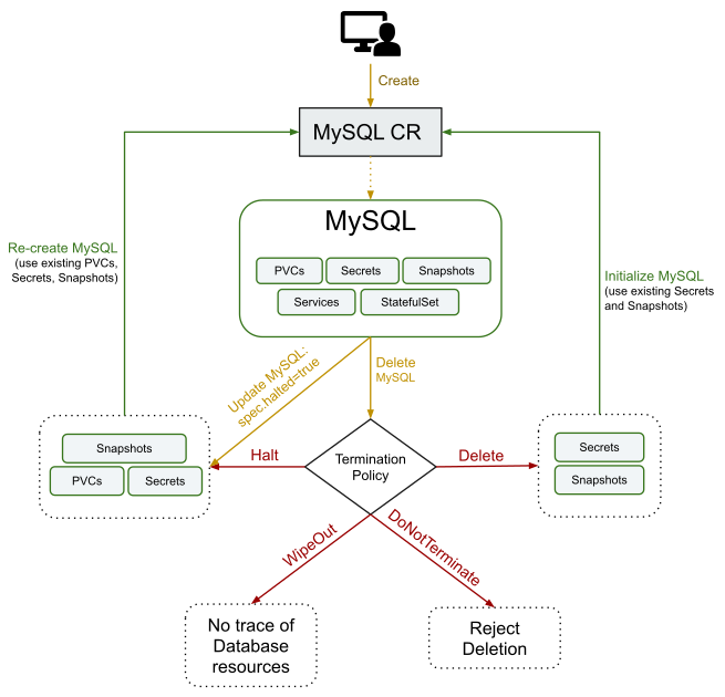 lifecycle