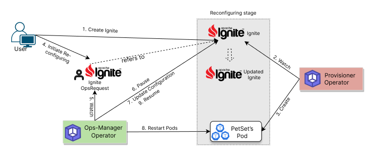 Reconfiguring process of Ignite
